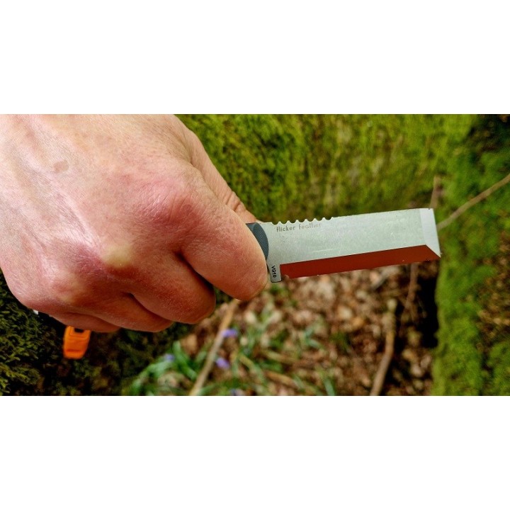 Outdoor element flicker feather in hand